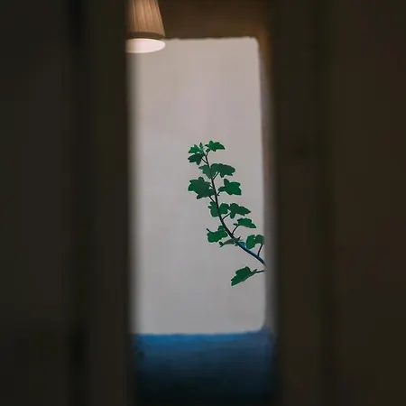 Apartment Delle Volte *