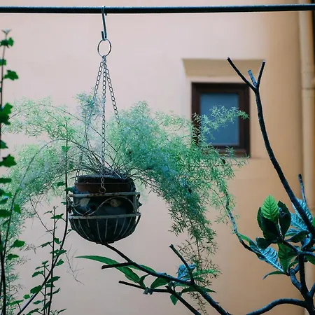 Delle Volte Apartment